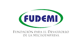 Fudemi